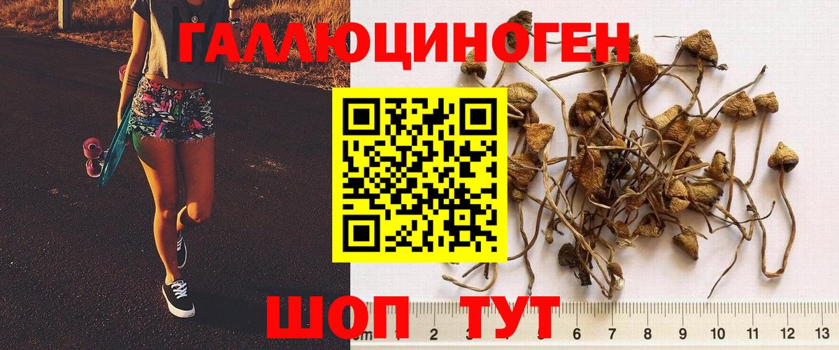 Псилоцибиновые грибы Psilocybe  Вход с VPN  Губкин 