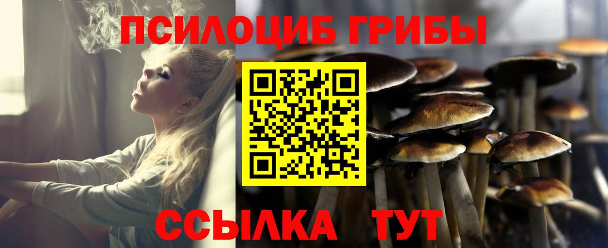 Галлюциногенные грибы GOLDEN TEACHER Губкин